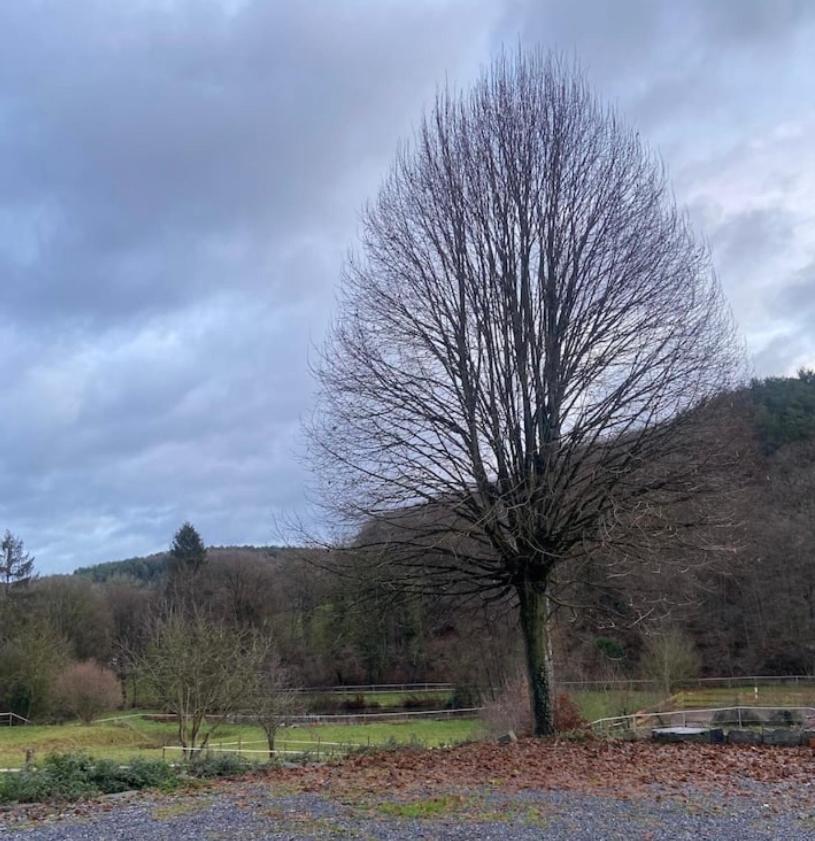 Le Ranch Des Aguesses Villa Andenne Esterno foto