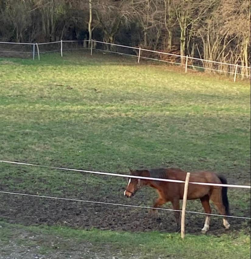 Le Ranch Des Aguesses Villa Andenne Esterno foto