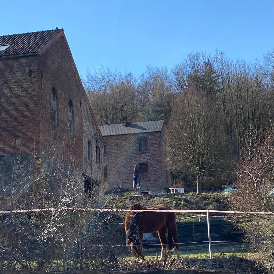 Le Ranch Des Aguesses Villa Andenne Esterno foto