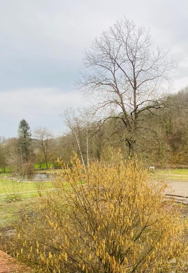 Le Ranch Des Aguesses Villa Andenne Esterno foto