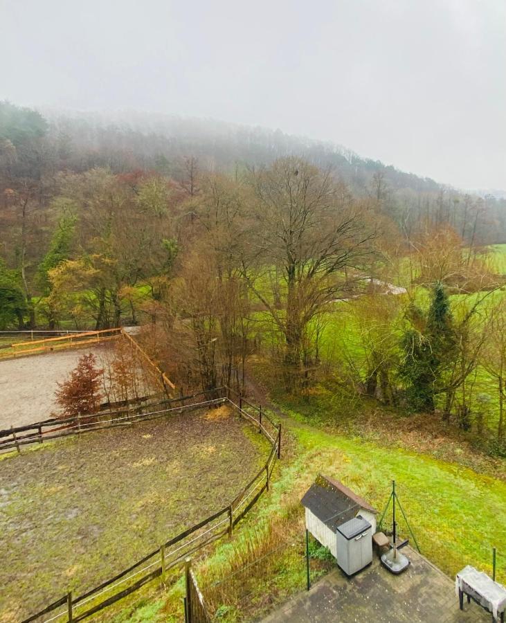 Le Ranch Des Aguesses Villa Andenne Esterno foto