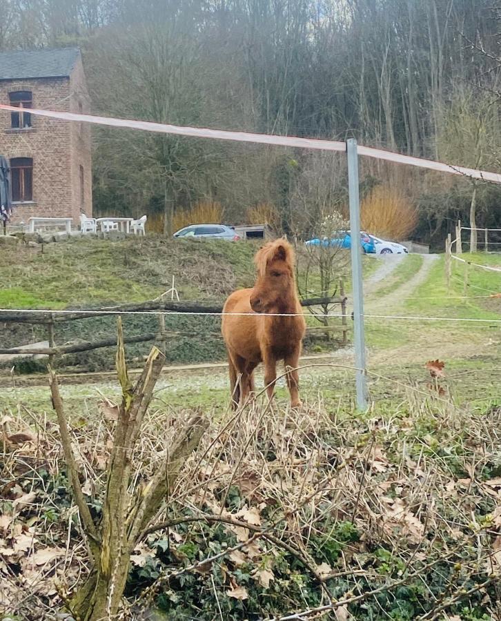 Le Ranch Des Aguesses Villa Andenne Esterno foto